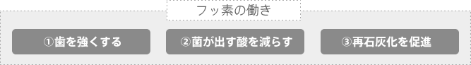 フッ素の働き　1.歯を強くする　2.菌が出す酸を減らす　3.再石灰化を促進